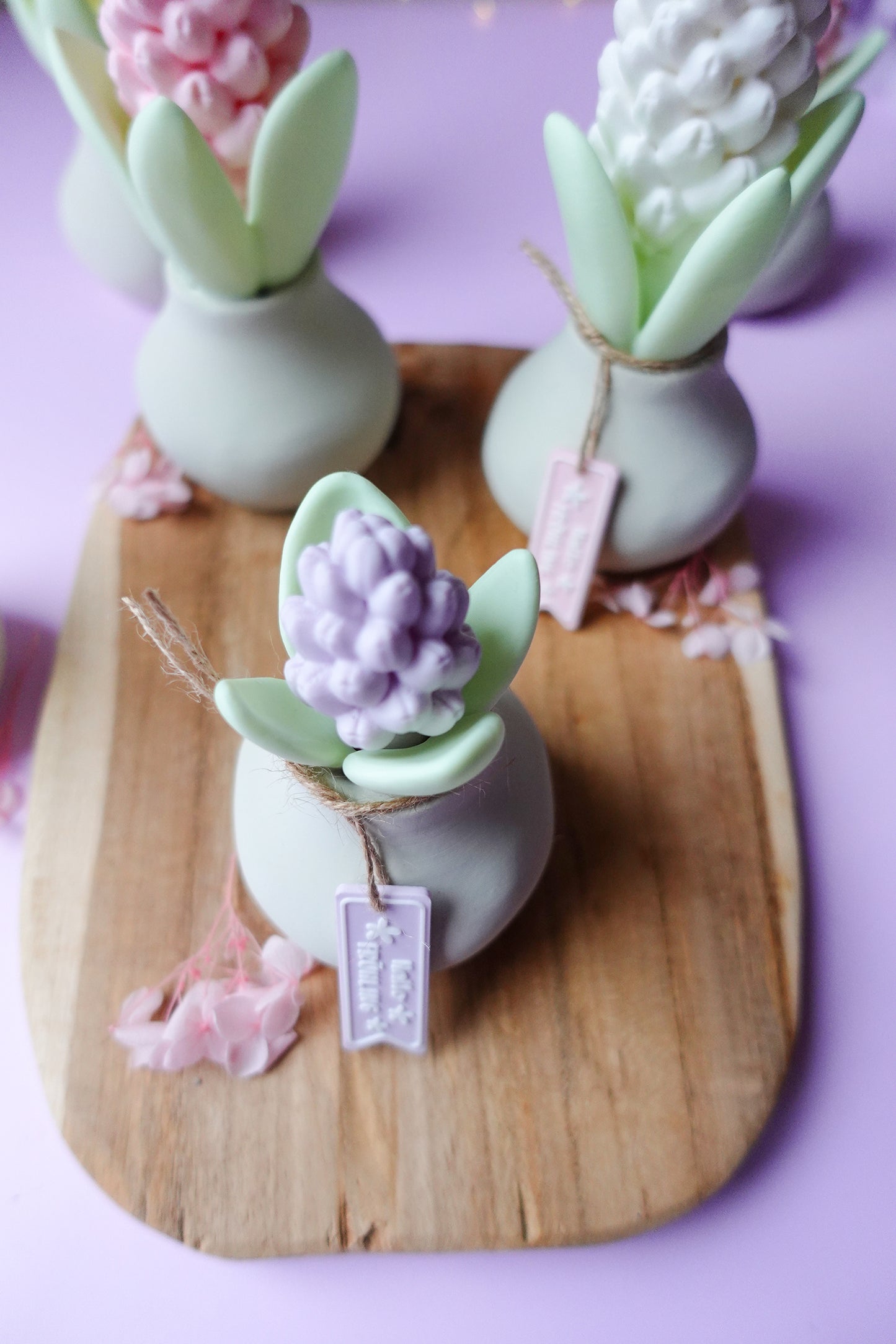 Hyazinthe V2 mit Blüte 3D Druckdatei | STL & 3MF | Set