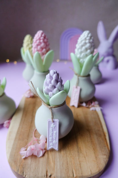 Hyazinthe V2 mit Blüte 3D Druckdatei | STL & 3MF | Set