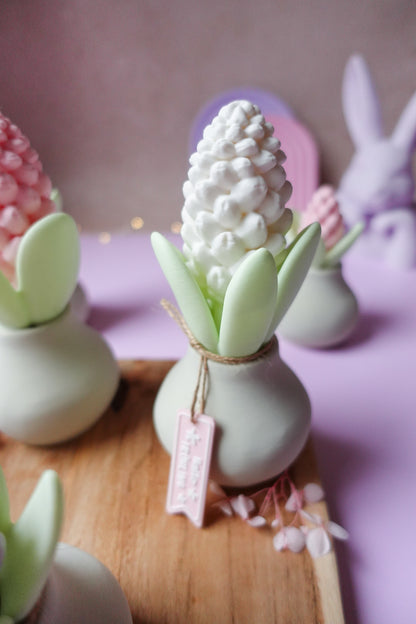 Hyazinthe V2 mit Blüte 3D Druckdatei | STL & 3MF | Set