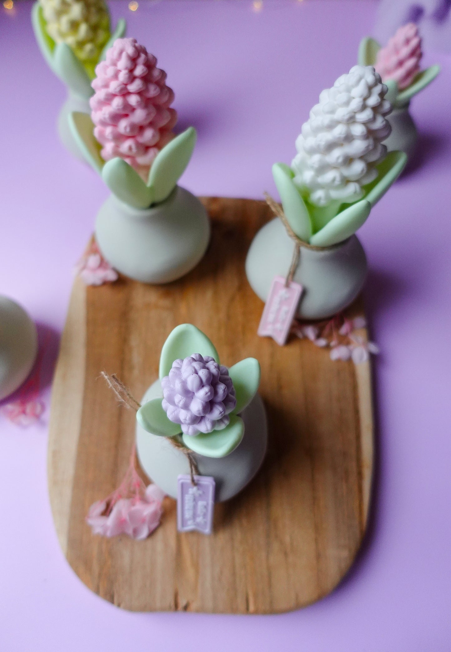 Hyazinthe V2 mit Blüte 3D Druckdatei | STL & 3MF | Set