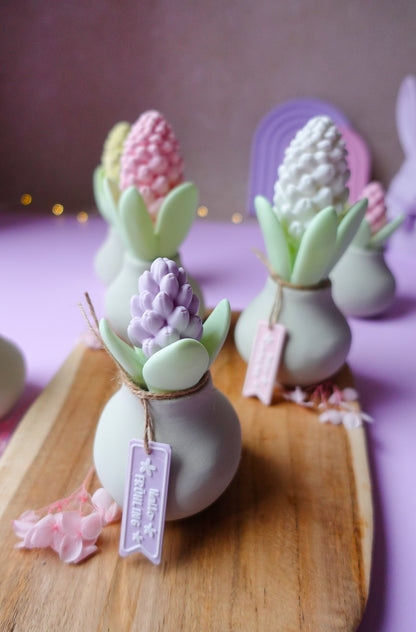 Hyazinthe V2 mit Blüte 3D Druckdatei | STL & 3MF | Set