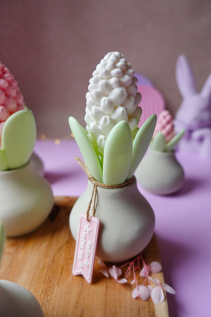 Hyazinthe V2 mit Blüte 3D Druckdatei | STL & 3MF | Set