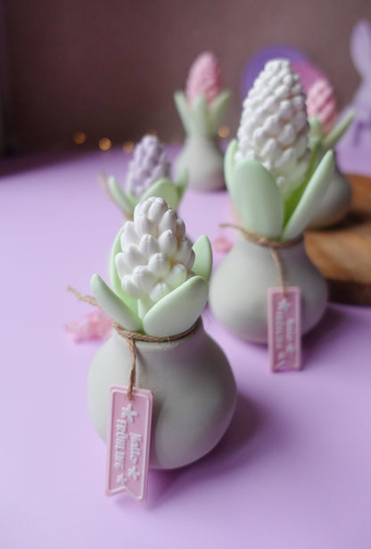 Hyazinthe V2 mit Blüte 3D Druckdatei | STL & 3MF | Set